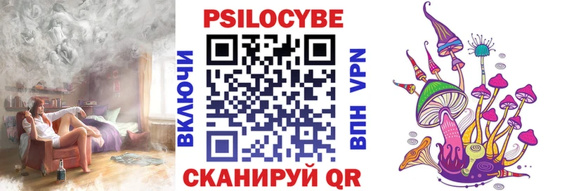 Псилоцибиновые грибы Psilocybine cubensis  Курчалой 