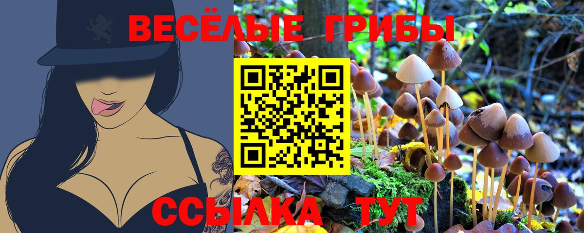 Галлюциногенные грибы Psilocybe  Псилоцибиновые грибы Magic Shrooms  купить  цена  Вход с VPN  Курчалой 